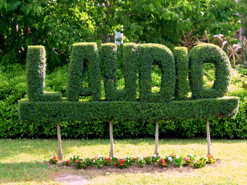 Cuidado de mayores en Laudio / Llodio